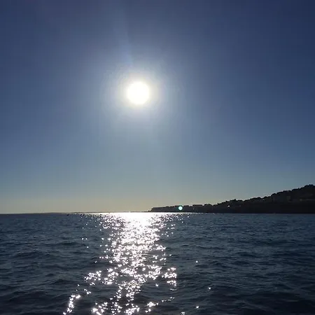 Seaside Beauty
